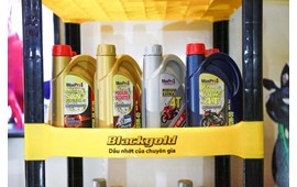 Dầu nhớt Blackgold - dầu nhớt của chuyên gia chính thức có mặt tại Việt Nam